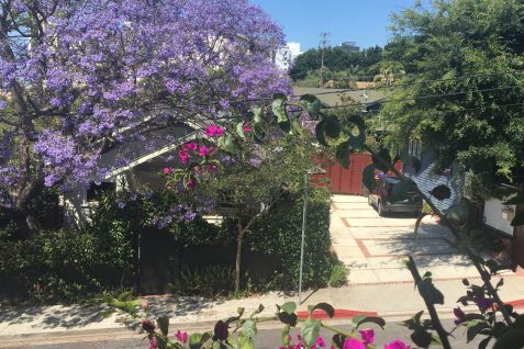 At home in West Hollywood